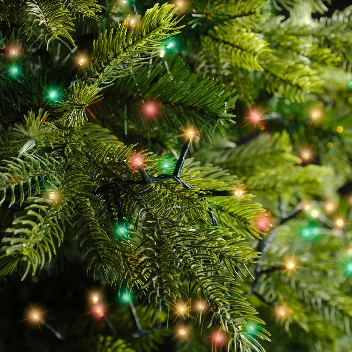 Guirnalda luminosa 22,5 m 1000 LED cable verde Lujo Tricolor Verde/Rojo/Blanco