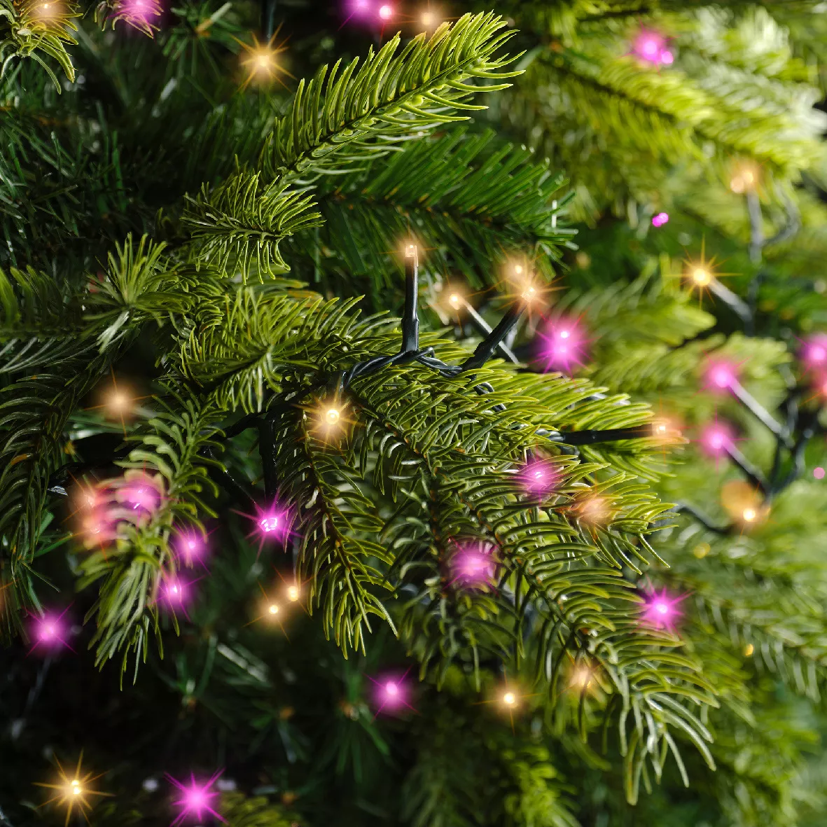 Guirlande lumineuse 11 m 500 LED câble vert NewLuxe Bicolore Rose/blanc