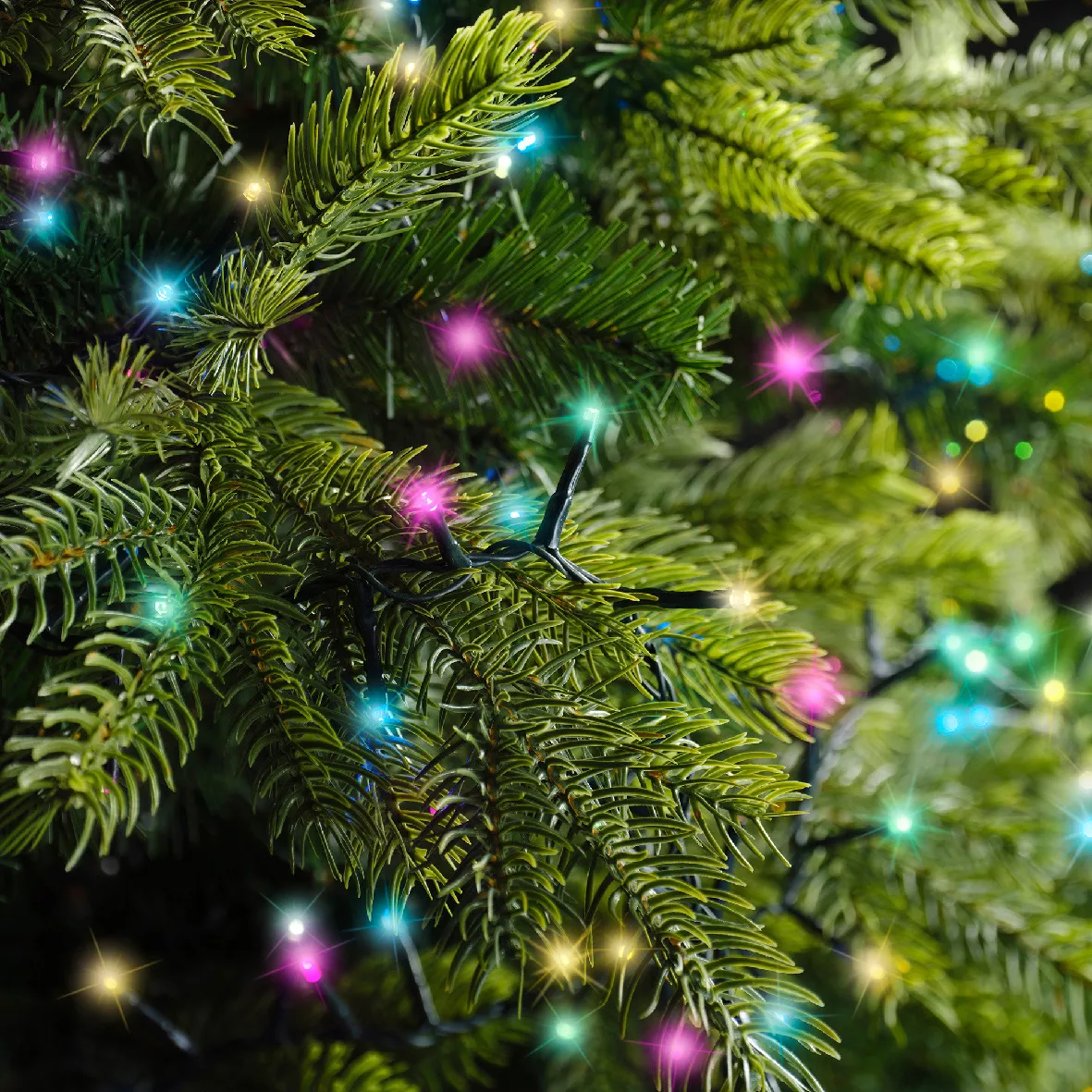 Ghirlanda di luci 11 m 500 LED cavo verde NewLuxe Multicolore pastello