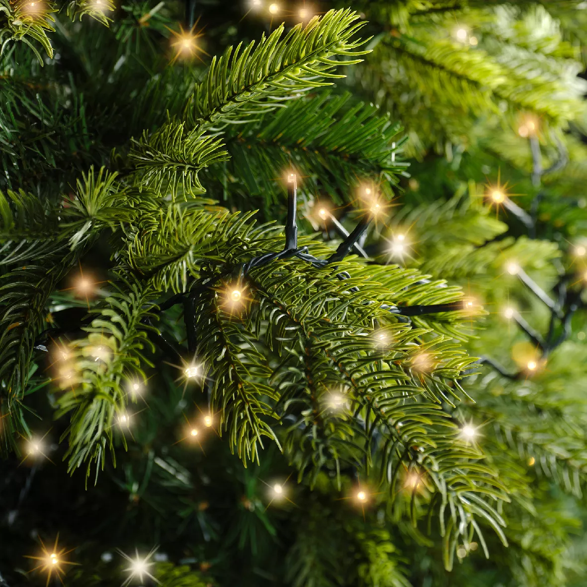 Guirlande lumineuse 22,5 m 1000 LED câble vert NewLuxe Blanc chaud/chaud doré