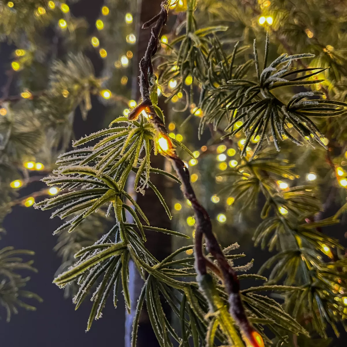 Verlichte boom 600 LED (H180 cm) Besneeuwde Berk Warm Wit