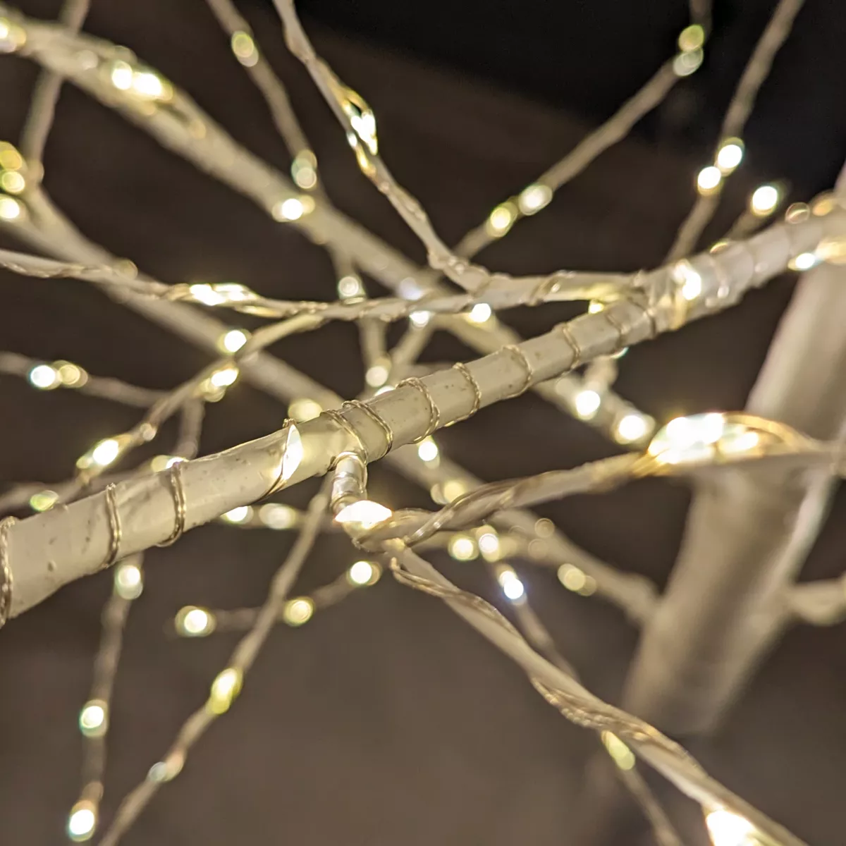 Lichterbaum Birke Lucidum Micro LED H180 cm Warmweiß 3