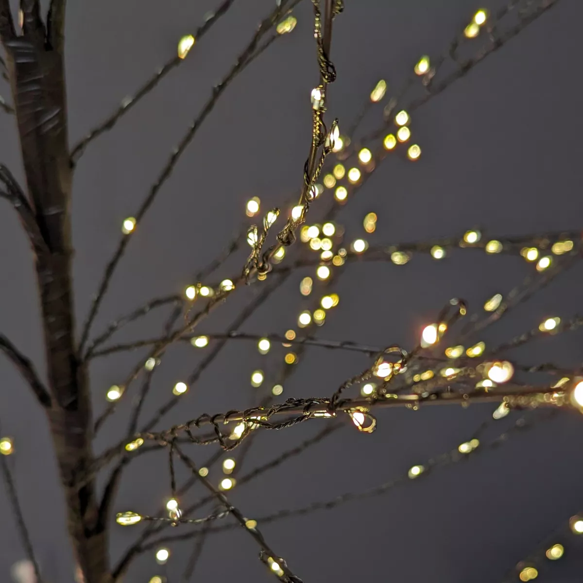 Lichterbaum 720 LED (H180 cm) Holly Platane Schwarz/Warmweiß