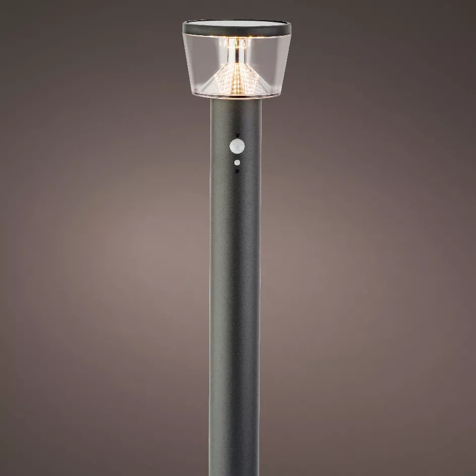 Paletto da giardino solare 40 LED 600 lumen (H94 cm) Orion Grigio antracite