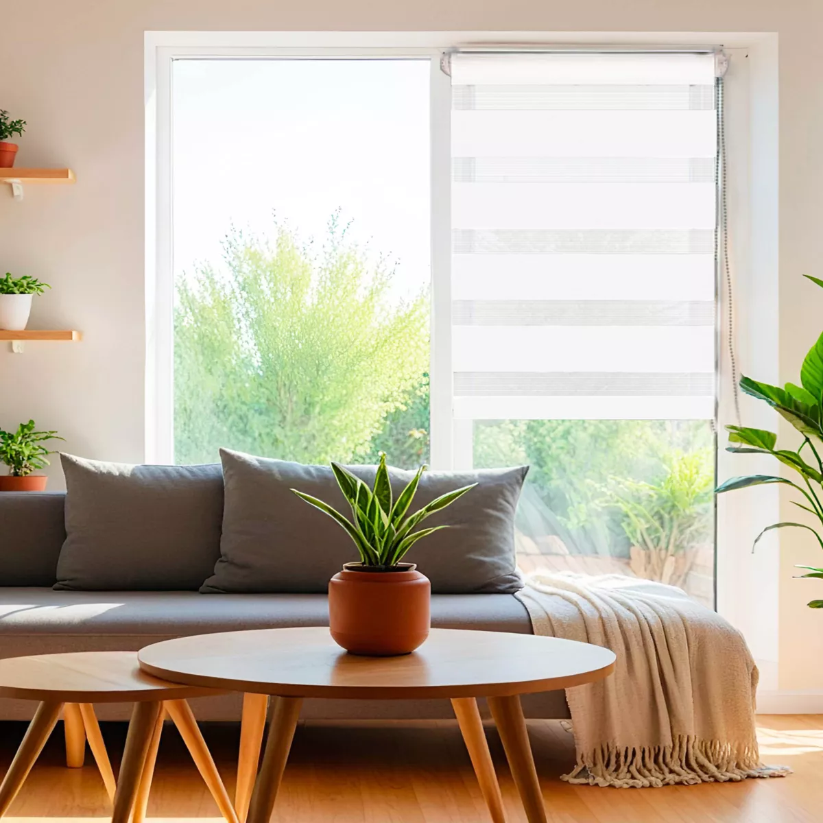 Estor enrollable Día / Noche (75 x 180 cm) Blanco 2