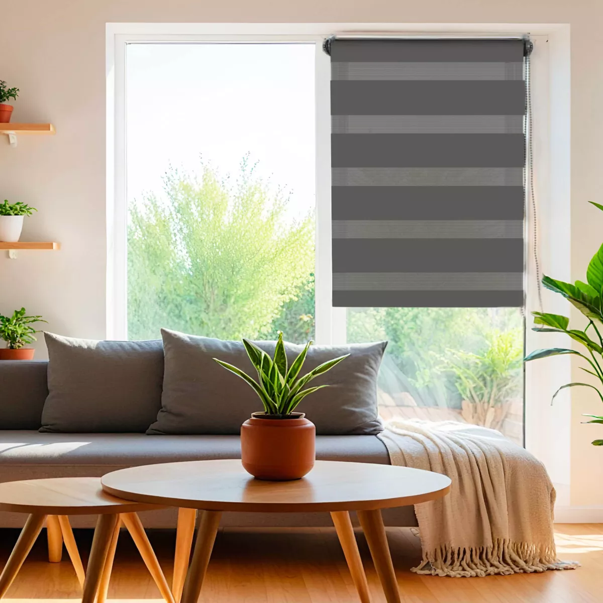 Estor enrollable Día / Noche (45 x 250 cm) Gris antracita 2