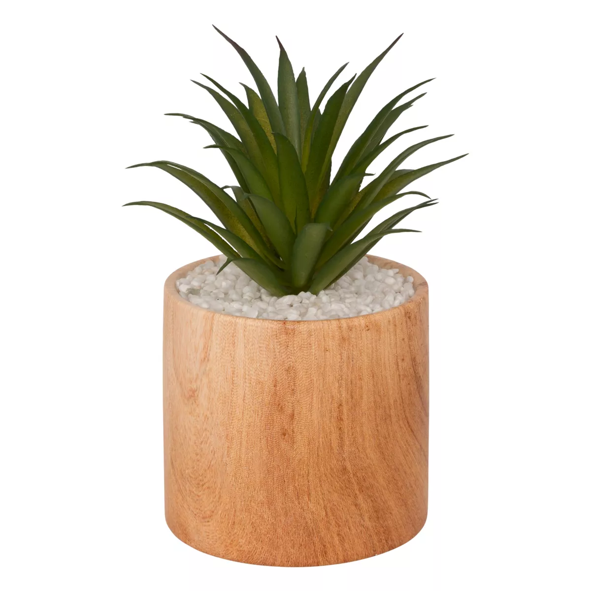 Planta artificial con maceta (H17 cm) Sao planta suculenta