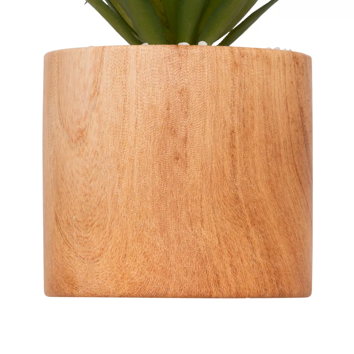 Planta artificial con maceta (H17 cm) Sao planta suculenta