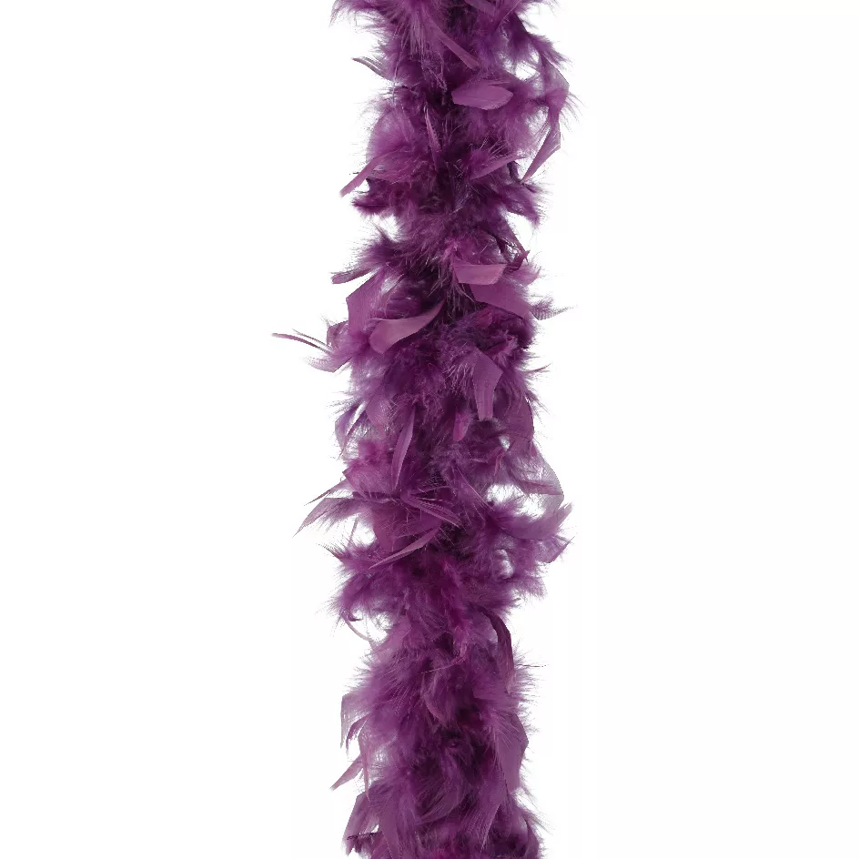 1 Boa plume L10-W10-H184cm figue 