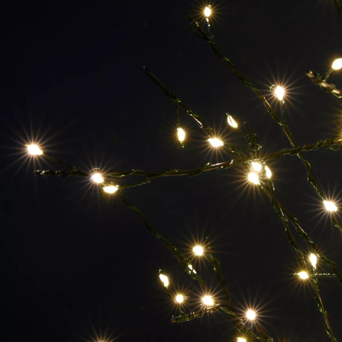 Albero luminoso 360 LED (H180 cm) Betulla invernale Bianco caldo