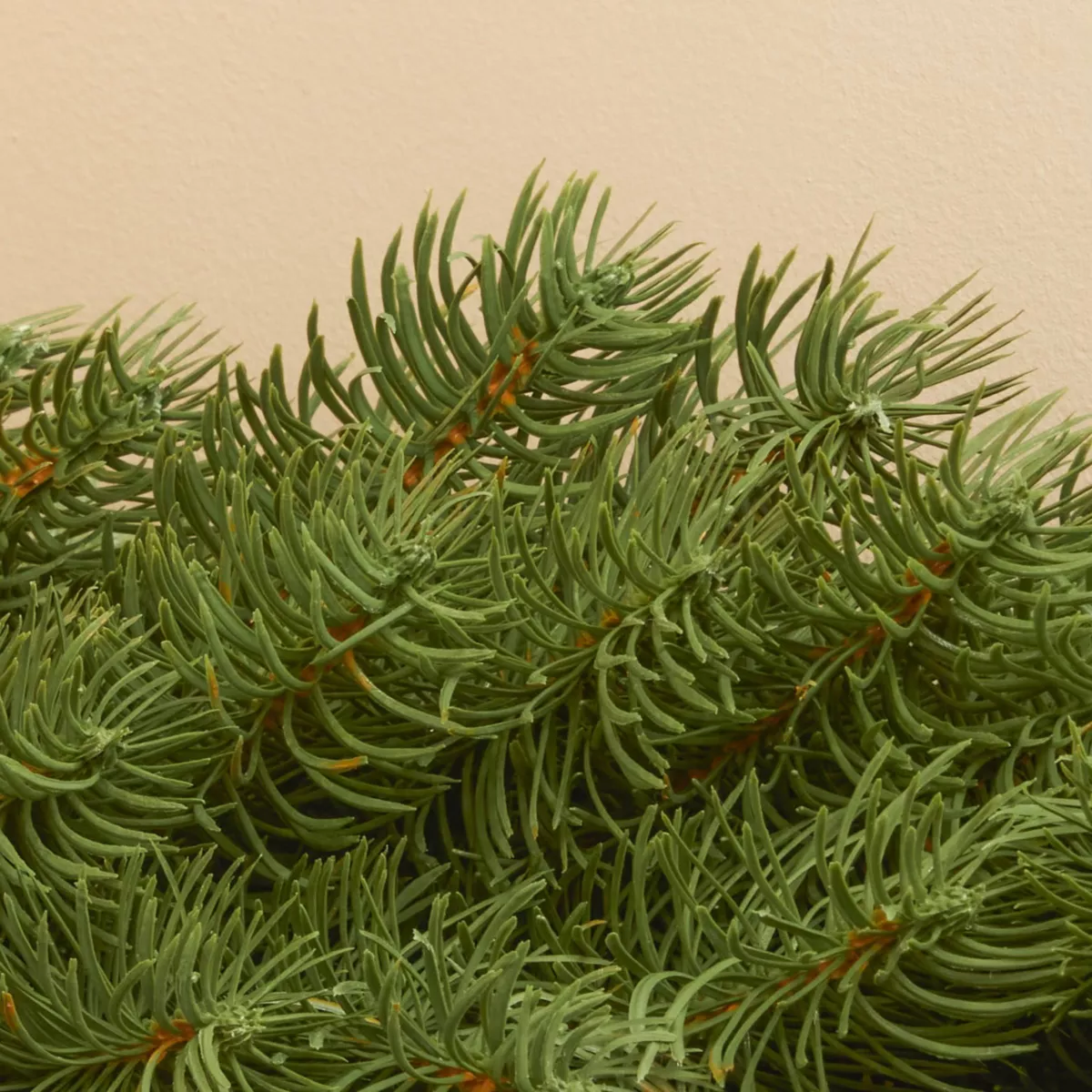 Guirlande de sapin (180 cm - D25) Utah Luxe Vert sapin