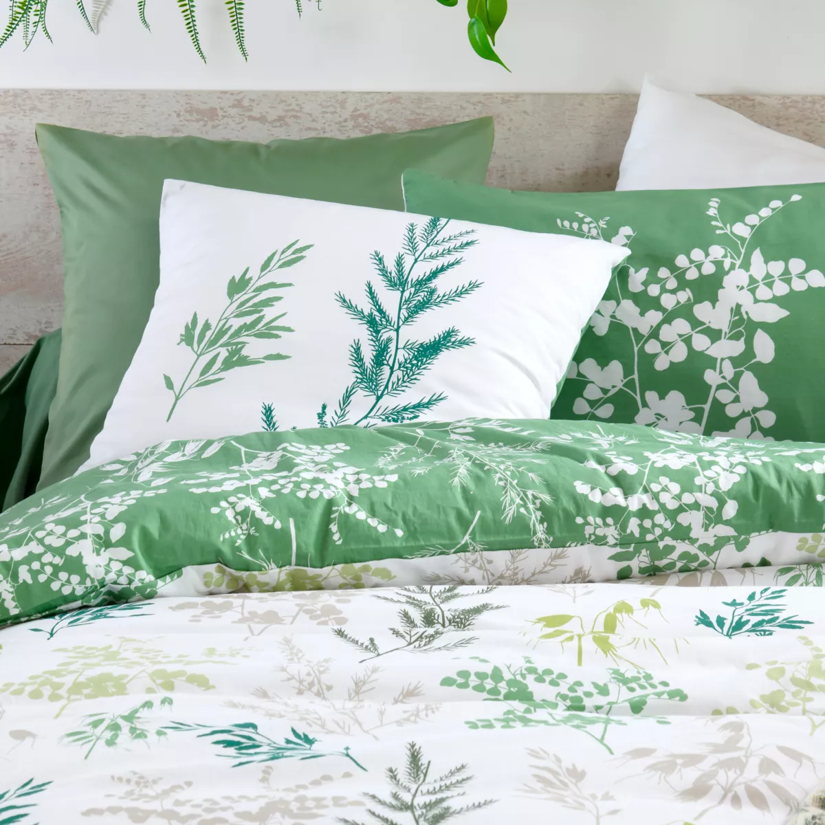 Federa quadrata in percalle (63 x 63 cm) Sylvana Verde