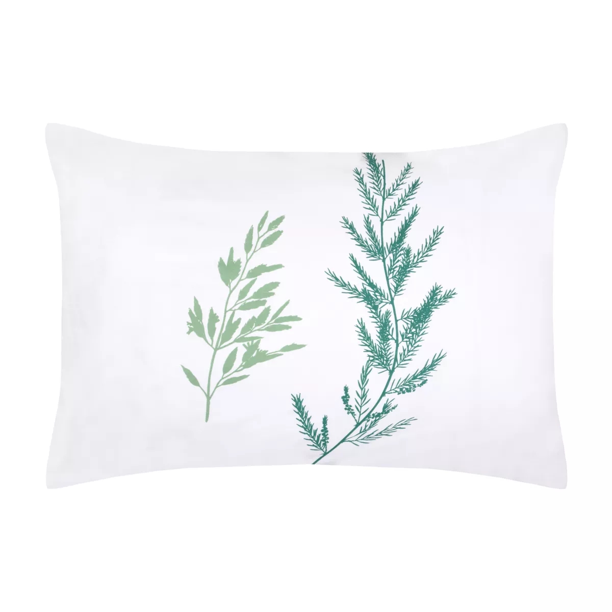Federa per cuscino rettangolare in percalle (50 x 70 cm) Sylvana Verde