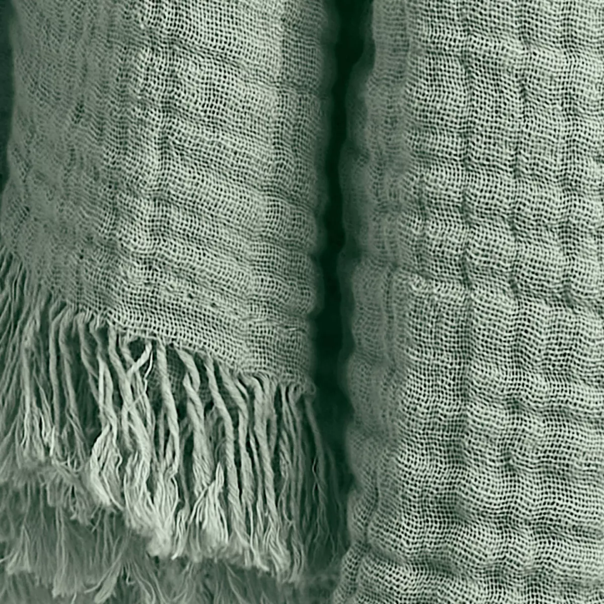 Plaid Katoengaas (130 x 160 cm) Gaïa Eucalyptus groen