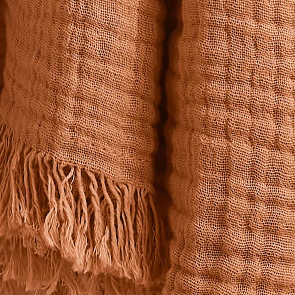 Manta de gasa de algodón (180 x 220 cm) Gaïa Albaricoque