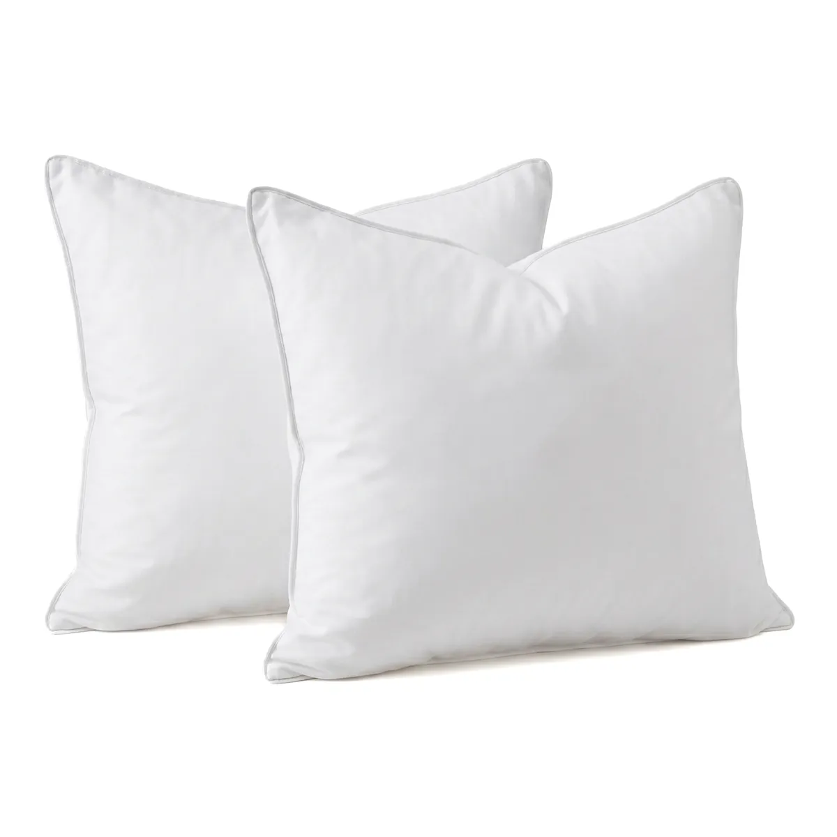 Set Piumone caldo antiacari (280 x 240 cm) + 2 Cuscini (60 x 60 cm) Comète Bianco 