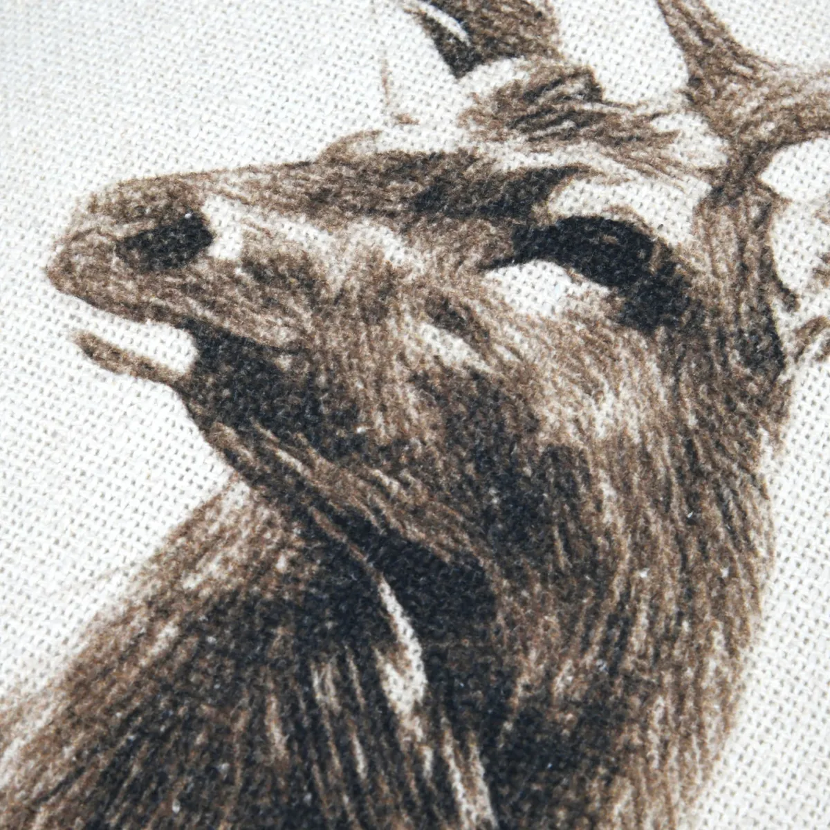 Cuscino quadrato in cotone (45 x 45 cm) Granon Marrone