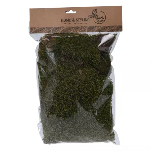 Päckchen mit Moos künstlich Grün