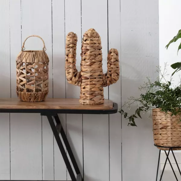 Cactus deco (35 cm) Haci