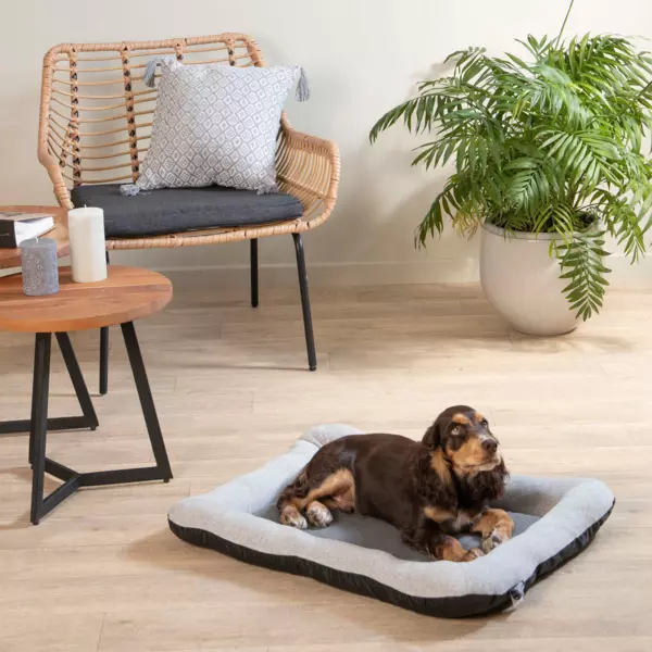 Matelas pour chat et chien Graphène L70 cm Gris - Animalerie - Eminza