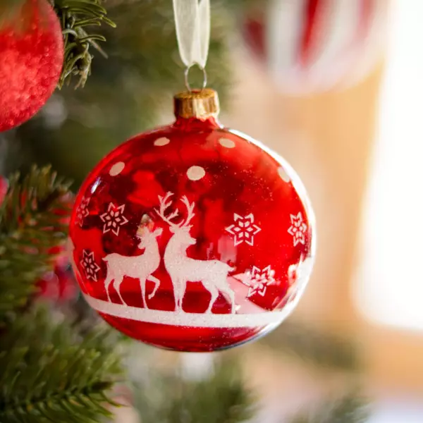 Lot de 6 boules de No�l en verre (D80 mm) Rudolf Rouge 