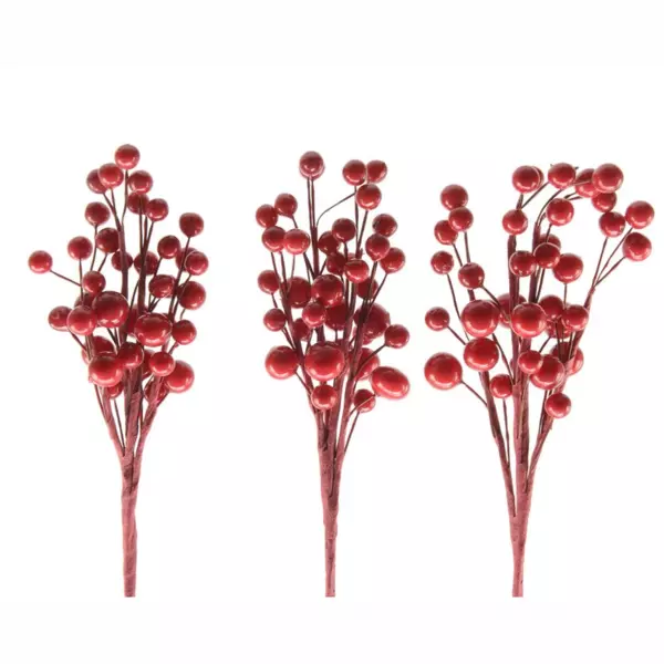Gruppo di rami  Rosso