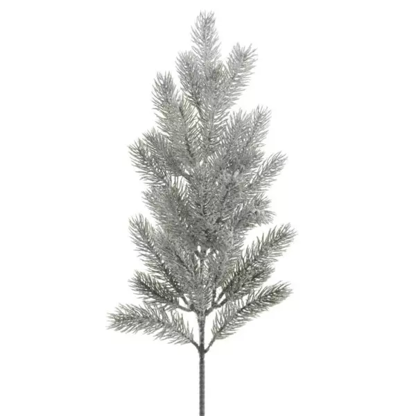 Besneeuwde tak Omorika besneeuwd groen