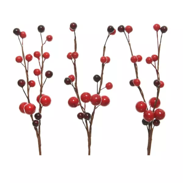 Set van takken Billa Rood