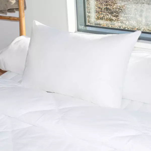 Lot de 2 oreillers rectangulaires (45 x 70 cm) Moelleux Anti-acariens Blanc