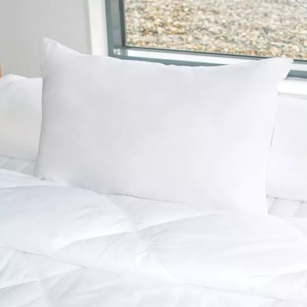 Almohada rectangulaire Alaska Blanco