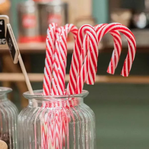 Set van 6 candy canes  Batonnets  om op te hangen Rood