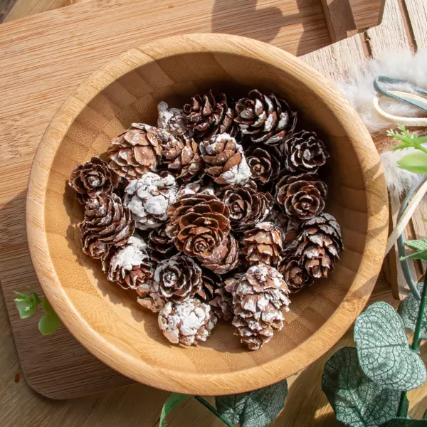 Sacchetto di pigne (45 g) Naturale