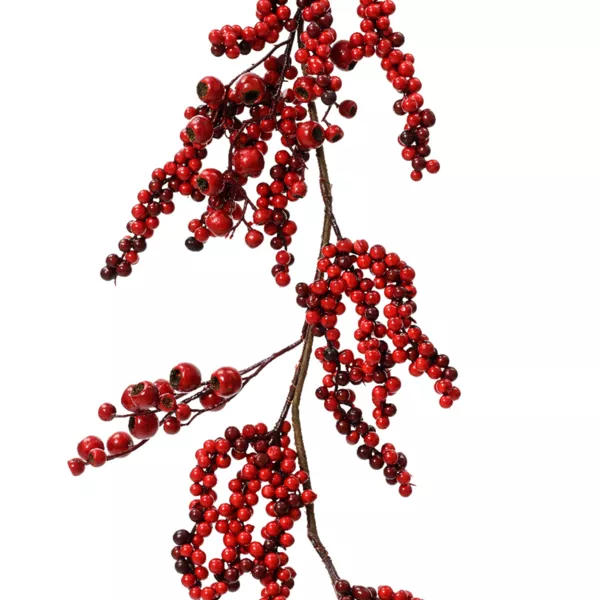Guirlande de baies (130 cm) Marylebone Rouge