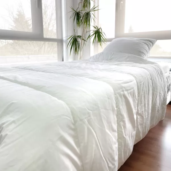 Lot Warme dekbed anti-mijt (140 x 200 cm) + 1 Kussen (60 x 60 cm) Witte Komeet