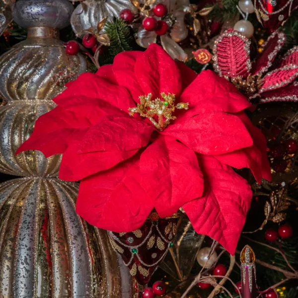Giana de la Flor de Navidad en el clip rojo 