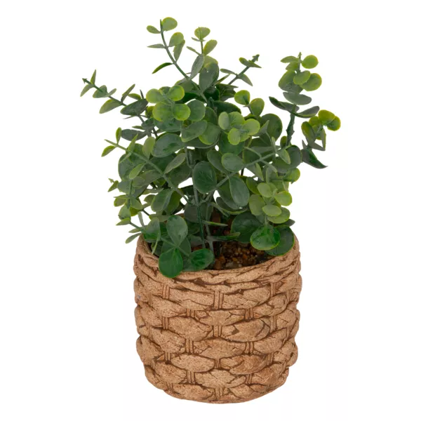 Kunstig plante i cementeret potte (H27 cm) Eucalyptus Jaye