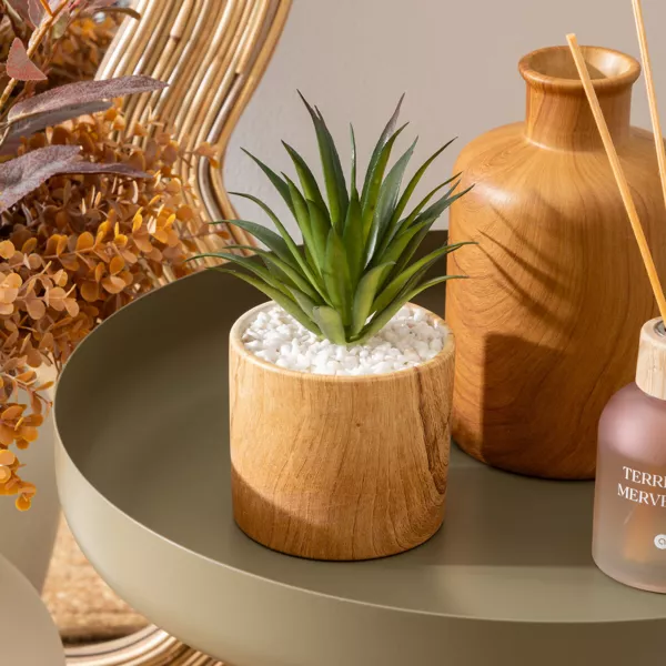 Kunstig plante med potte (H17 cm) Sao sukkulent