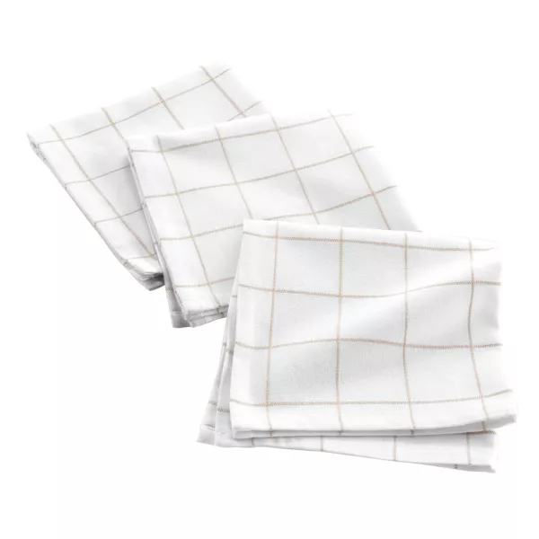 Lot de 3 serviettes coton (40 x 40 cm) Axel Blanc