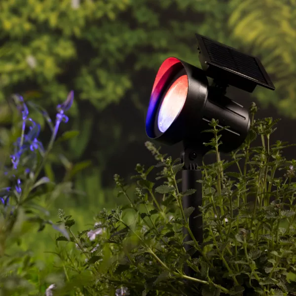 Set van 2 zonne-energie tuinpalen 25 lumen (H31 cm) Spots Warm wit en meerkleurig