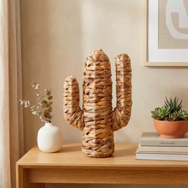 Cactus d�co en jacinthe d'eau (H35 cm) Haci