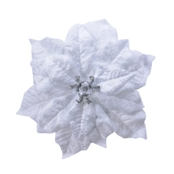Poinsettia de Noël Noelie sur clip Blanc