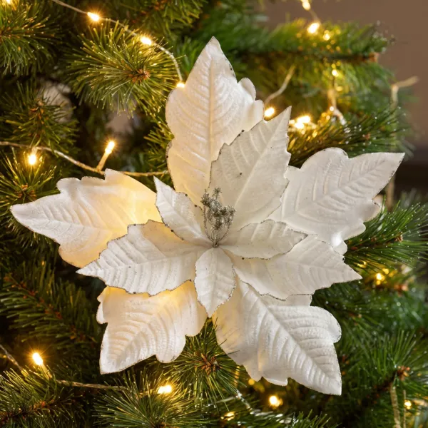 Stella di Natale su gambo in velluto (D50 cm) F��rie Bianco lana