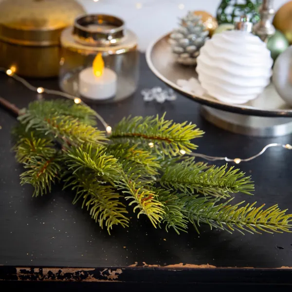 Branche de sapin (52 cm) Omorika Vert