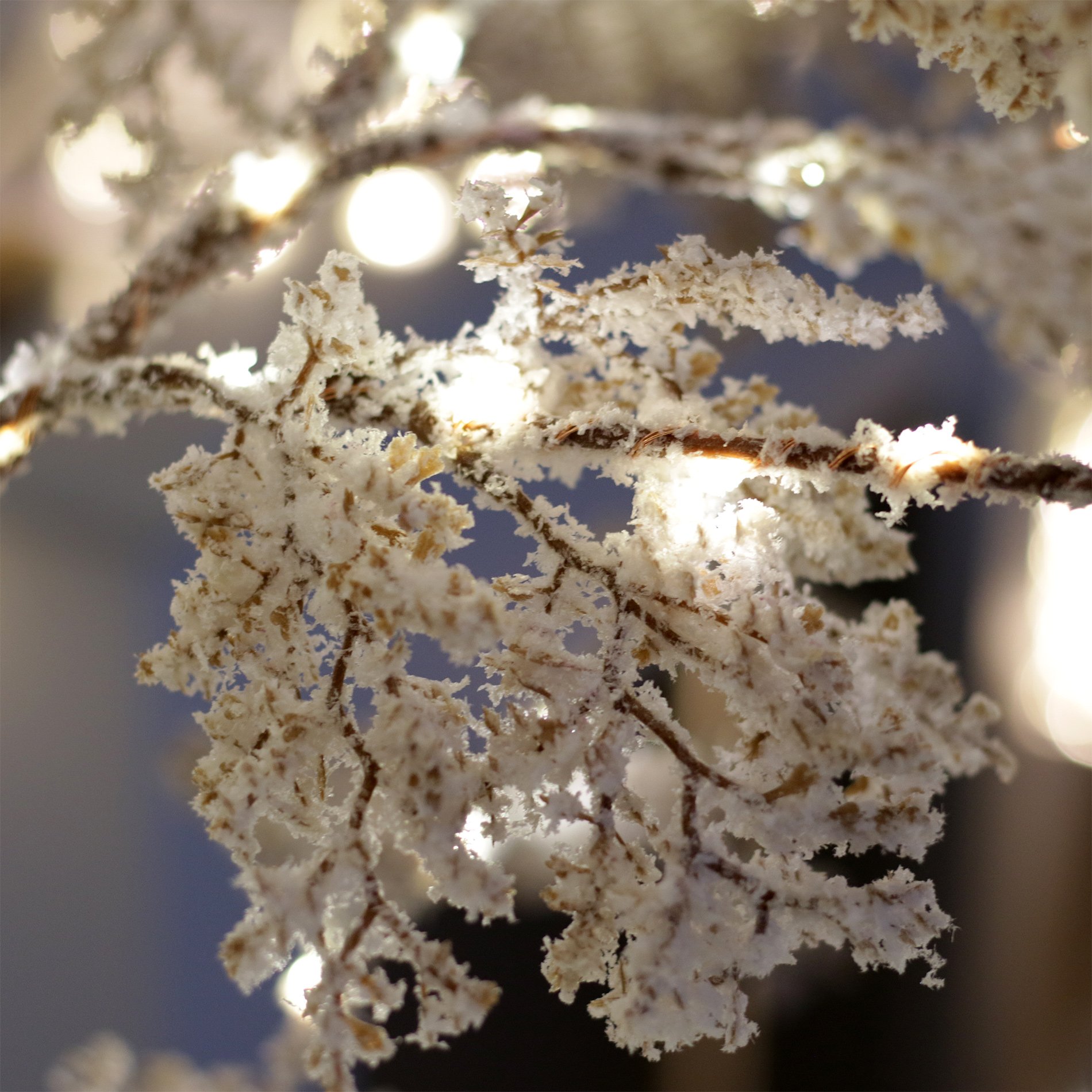 Arbre lumineux Gaelis H180 cm Blanc chaud - Sapin et arbre artificiel -  Eminza