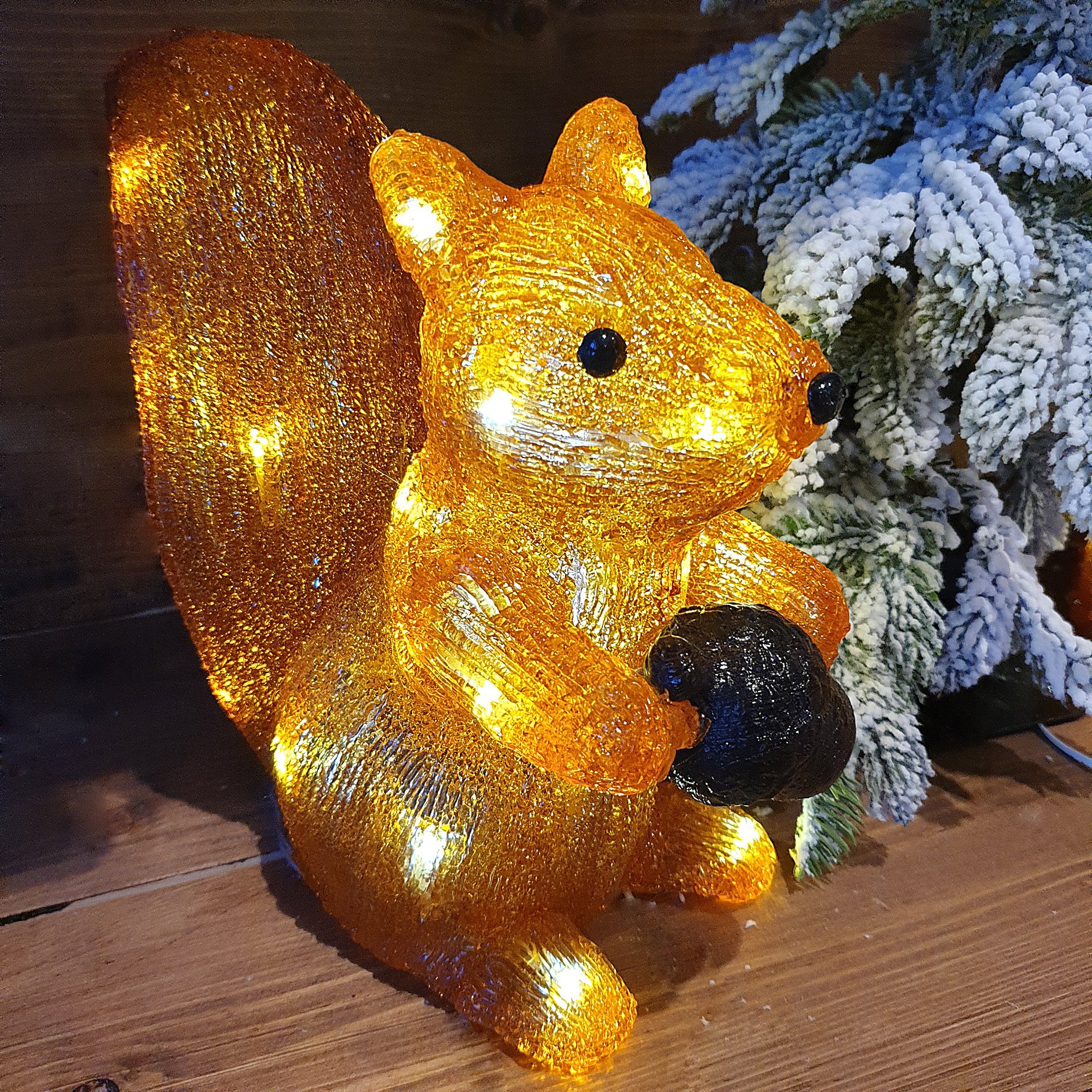 écureuil lumineux
